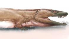 Reconstrucción artística de Gaiasia jennyae