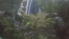 Imagen de la avioneta accidentada en Colombia en la que viajaban los cuatro niños