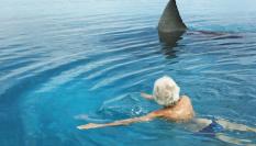 Una mujer nada junto a un tiburón, reconocible por su aleta.