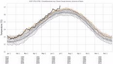 La gráfica de temperatura media mundial del 4 de julio de 2023