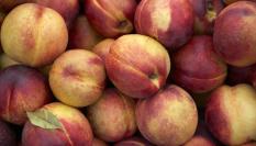 Imagen de archivo de melocotones.