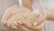 Imagen de archivo de arroz.