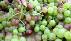 Racimos de uva a la venta en un mercado de España.