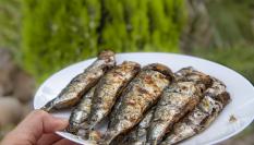 Un plato de sardinas asadas, en una imagen de archivo.