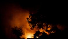 Imágenes del incendio en el paraje Huerta del Hambre de Bonares.