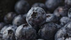 Frutos de arándanos en una imagen de archivo.