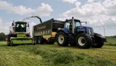 Agricultores de Países Bajos recogen hierba para alimentar vacas de producción de leche.