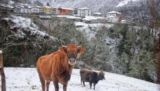 Imagen de archivo de San Juan de Beleño, Ponga, Asturias.