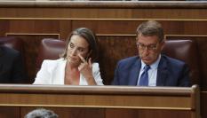 El líder del PP, Alberto Núñez Feijóo y la secretaria general de la formación, Cuca Gamarra, durante la sesión constitutiva de las Cortes Generales de la XV Legislatura este jueves.