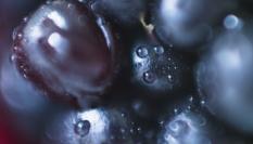 Plano detalle del alimento en cuestión.