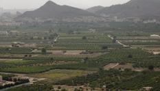 Panorámica de la zona conocida como Huerta de Murcia en una fotografía de 2021.