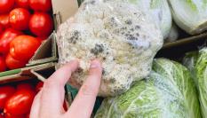 Una coliflor con manchas en un supermercado.