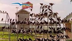 El reto español en Europa, por López Aguilar