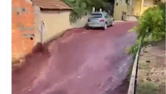 Captura del vídeo en el que se ve una calle inundada de vino tinto.