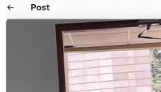 El tuit de @ndrea_abril.