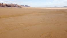 Círculos de hadas en una llanura de Namibia.