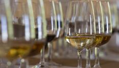 Copas de vino en Jerez.