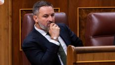 El líder de Vox, Santiago Abascal