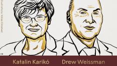 Katalin Karikó y Drew Weissman, Nobel de Medicina.
