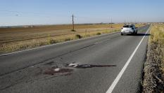 Vista del lugar del atropello mortal en la localidad toledana de Santo Domingo Caudilla.