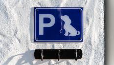 La Ley de Bienestar Animal prohibe dejar a los perros atados en la calle.