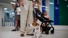 Un hombre hace cola, junto a su perro, en un colegio electoral en las elecciones del 23J.