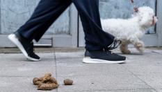 Una calle cualquiera con una escena demasiado habitual