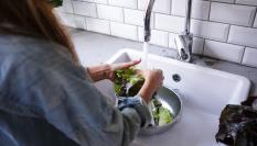 Foto de archivo de una mujer lavando la lechuga.