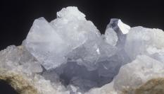 Celestina, en una imagen de archivo