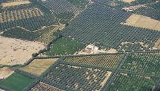 Vista aérea de una zona agrícola de Marruecos.