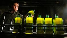 Productor de aceite de oliva en California.