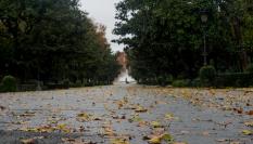 Un parque en Sevilla.
