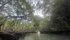 Un paraje natural de República Dominicana, en una imagen de archivo