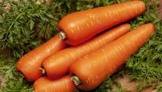El nutricionista Pablo Ojeda desmonta una leyenda urbana sobre las zanahorias
