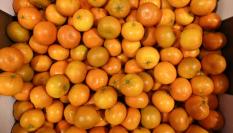 Cientos de clementinas apiladas.