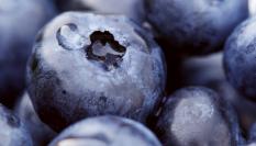 Imagen de archivo de arándanos.