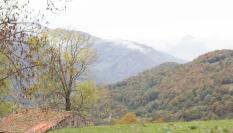 Imagen del monte asturiano