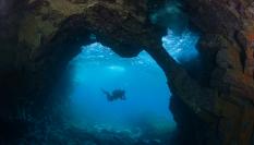 Un buzo en el océano