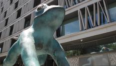 La rana gigante de Colon.