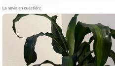 El mensaje compartido por @franbaa__