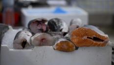 Imagen de archivo de una pescadería.