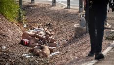 Varios palestinos bajo custodia policial israelí, tras ser desnudados en medio de la vía pública.