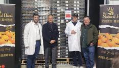 Primer contenedor de caqui a China