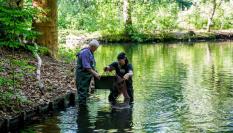 Unos pescadores, en el río cogiendo cangrejos