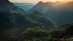 Imagen de archivo de Perucica.