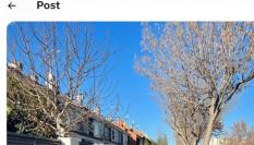 El mensaje de @rodriguez_anina