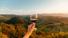 Vino en las montañas