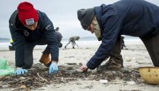 Voluntarios recogen pellets en la playa de Nigrán, en Pontevedra.