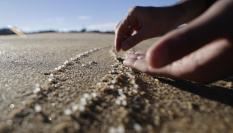Una persona recogiendo 'pellets' de microplástico.