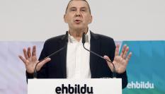 El coordinador general de EH Bildu, Arnaldo Otegi, en una imagen de archivo.